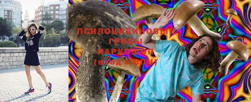 Псилоцибиновые грибы Magic Shrooms  Анива 